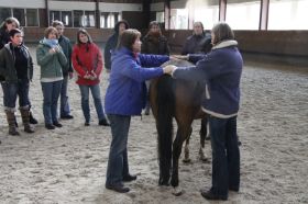 Chakra balance horse.JPG